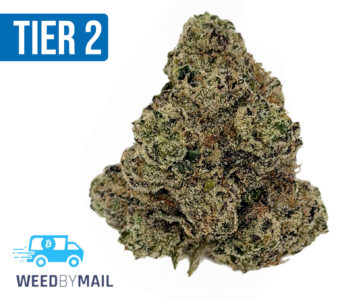 Tier 2 LA Confidential (32.89% THC)(Indica)