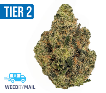 Tier 2 Sour Diesel (32.98% THC)(Sativa)