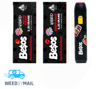 Besos – 1.2G Disposable Pen (3 Options)
