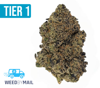 Tier 1 Sunset Sherbet (35.86% THC)(Hybrid)