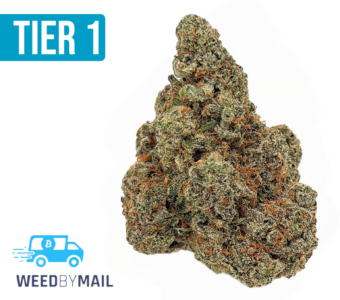 Tier 1 Pure Oakland OG (35.91% THC)(Indica)