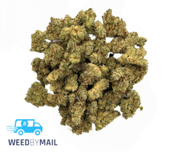 Tier 1 (Small Buds) Glue Trap (36.81% THC)(Hybrid)