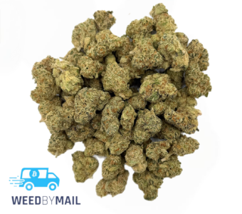 Tier 1 (Small Buds) Chronic Thunder (36.85% THC)(Indica)