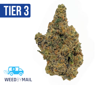 Tier 3 Mendo Frost (28.88% THC) (Indica)