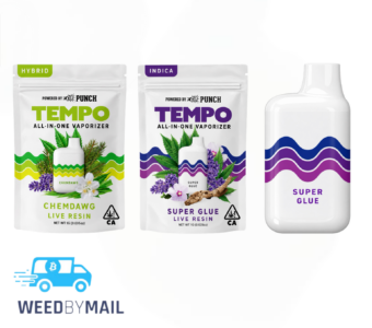 Tempo – 1G Live Resin Disposable Pen (2 Options)