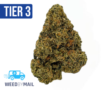 Tier 3 Tropical Cake (28.88% THC) (Hybrid)
