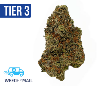 Tier 3 Chemdawg #4 (28.90% THC) (Hybrid)