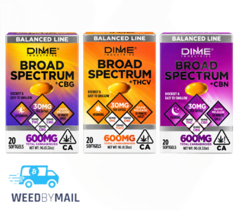 Dime – 600mg Broad Spectrum Soft Gels (3 Options)