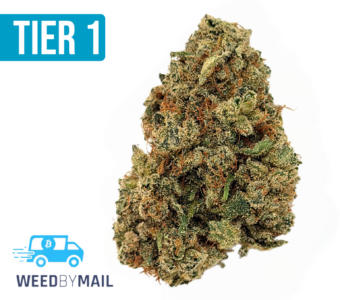 Tier 1 XJ-13 (36.90% THC)(Sativa)