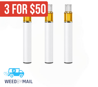 House Disposable – 1G Disposable Pen (10 Options)